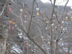 -黑龙潭风景区