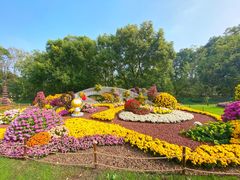 -上海共青森林公园