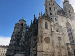 -斯蒂芬主教座堂(Stephansdom)