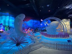 -海合安成都极地海洋公园