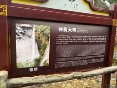 -鹿院坪生态旅游景区