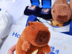 -汉长安城未央宫国家考古遗址公园