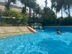 -重庆海昌加勒比海水世界