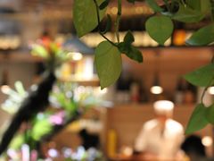 -森味薪火烧•烧鸟居酒屋•日本料理(望京店)