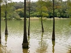 -华南国家植物园-售票处