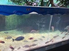 -苏州海洋馆
