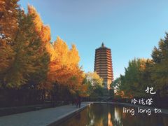 -玲珑塔公园