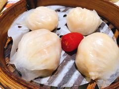 金牌虾饺皇-赏点粤式点心(广州塔店)