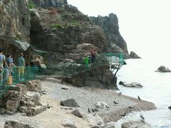 -海驴岛(荣成市)