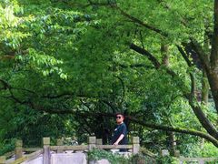 -雁荡山风景名胜区