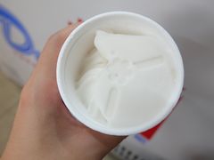 -洪馨椰子