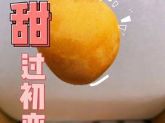 -塘栖枇杷特色园区