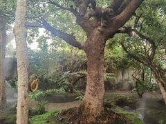 -Chom Cafe and Restaurant