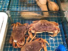 -佤家大院(南门店)