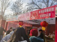 -五环公园