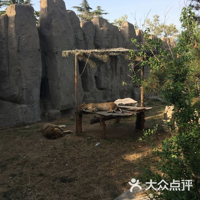 阳泉南山公园动物园图片
