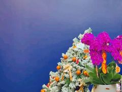 -启德考培雅思托福留学(香洲校区)