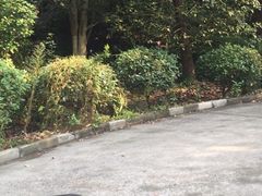 -安飞驰驾校·学车连锁(金高店)