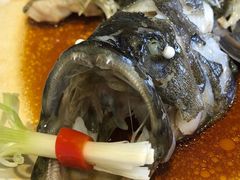 -大门水乡·顺德菜