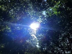 -南京金牛湖风景区