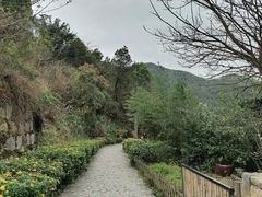 -远山有窑