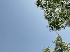 -春风习习