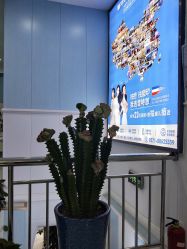 -蕾特恩专业祛痘·皮肤管理