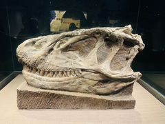 -自贡恐龙博物馆