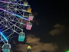 -巨鹏飞梦幻海岸