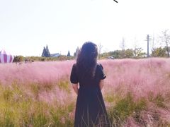 -鹅湖玫瑰文化园