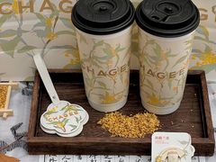 -霸王茶姬(正佳广场店)
