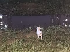 -合肥万象城
