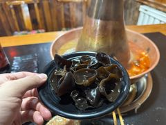 -果松木炭酸菜铜火锅·外婆参鸡汤