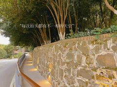 -上海市保健医疗中心