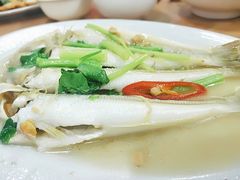 豆酱沙尖-长平肥姐白粥·海鲜打冷