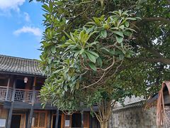 -前童古镇