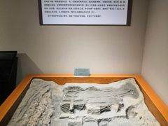 -洛阳周王城天子驾六博物馆