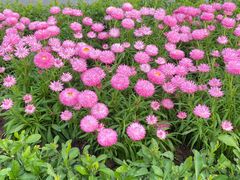 -福田红树林生态公园