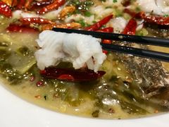 -姚姚酸菜鱼·金戈戈香港豉油鸡(喜荟城联名店)
