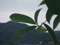 -仙岛湖旅游风景区