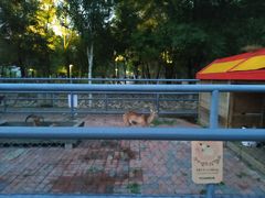 -长白岛森林公园