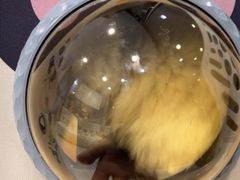 -荔康动物医院(康王北路店)