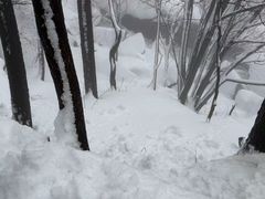 -太和山风景区