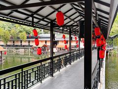 -侨美·唐荔园·40年地道粤菜