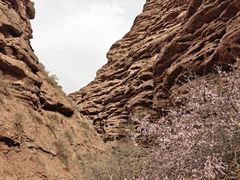 -张掖平山湖大峡谷景区