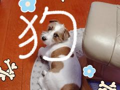 -守英猪脏粉(仓桥街店)