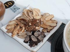 -蘑统田下·野生菌火锅