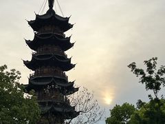 -龙华素斋(龙华路店)