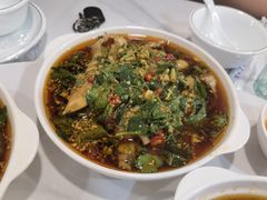 熟腌捞汁竹蛏王-潮静·潮州小馆·海鲜·卤味·砂锅粥