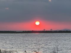 -西京湾花海
